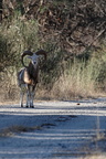 IMG_0221a_DxO_raw
