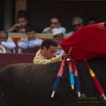 IMG_1263