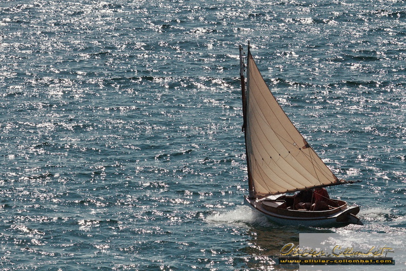 IMG_3975.jpg