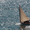 IMG_3975