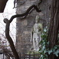 IMG 9678