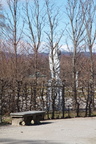 IMG 9756
