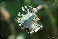 20090512201554-c6bf64b7.jpg