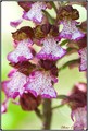 20090602083047-ac232daa.jpg