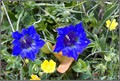 20090602121609-48eeddfe.jpg