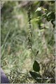 20090815143355-6198d8ed.jpg