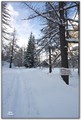 20100212111232-76a22d76.jpg