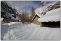20100212111238-77cec4aa.jpg