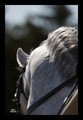 20100326210235-5c7fa9f3.jpg
