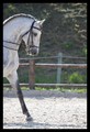 20100326210240-f851a2ca.jpg