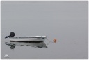 IMG 5835