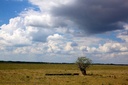 PAYSAGES
