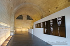 IMG_9991